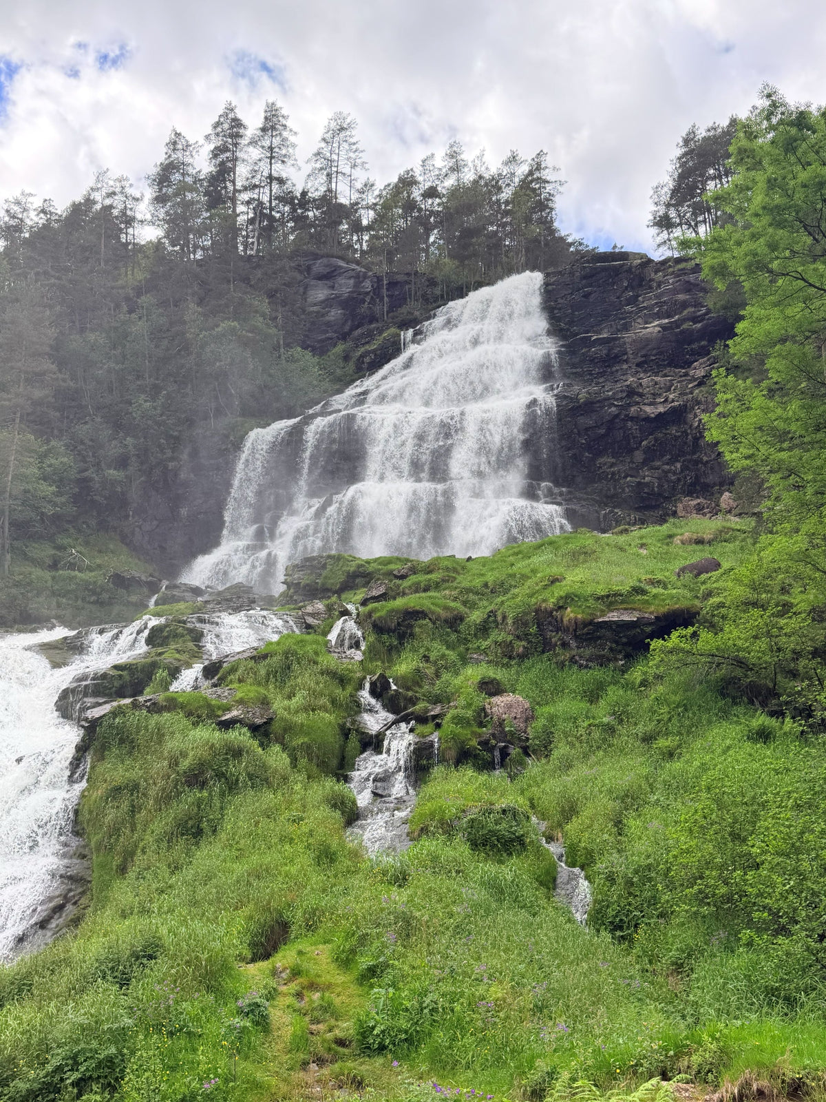 waterfall and green grass